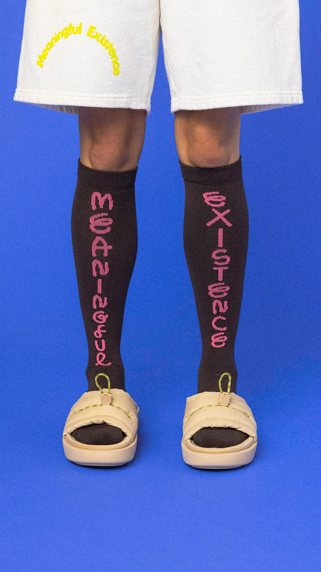 Meaningful Existence socks