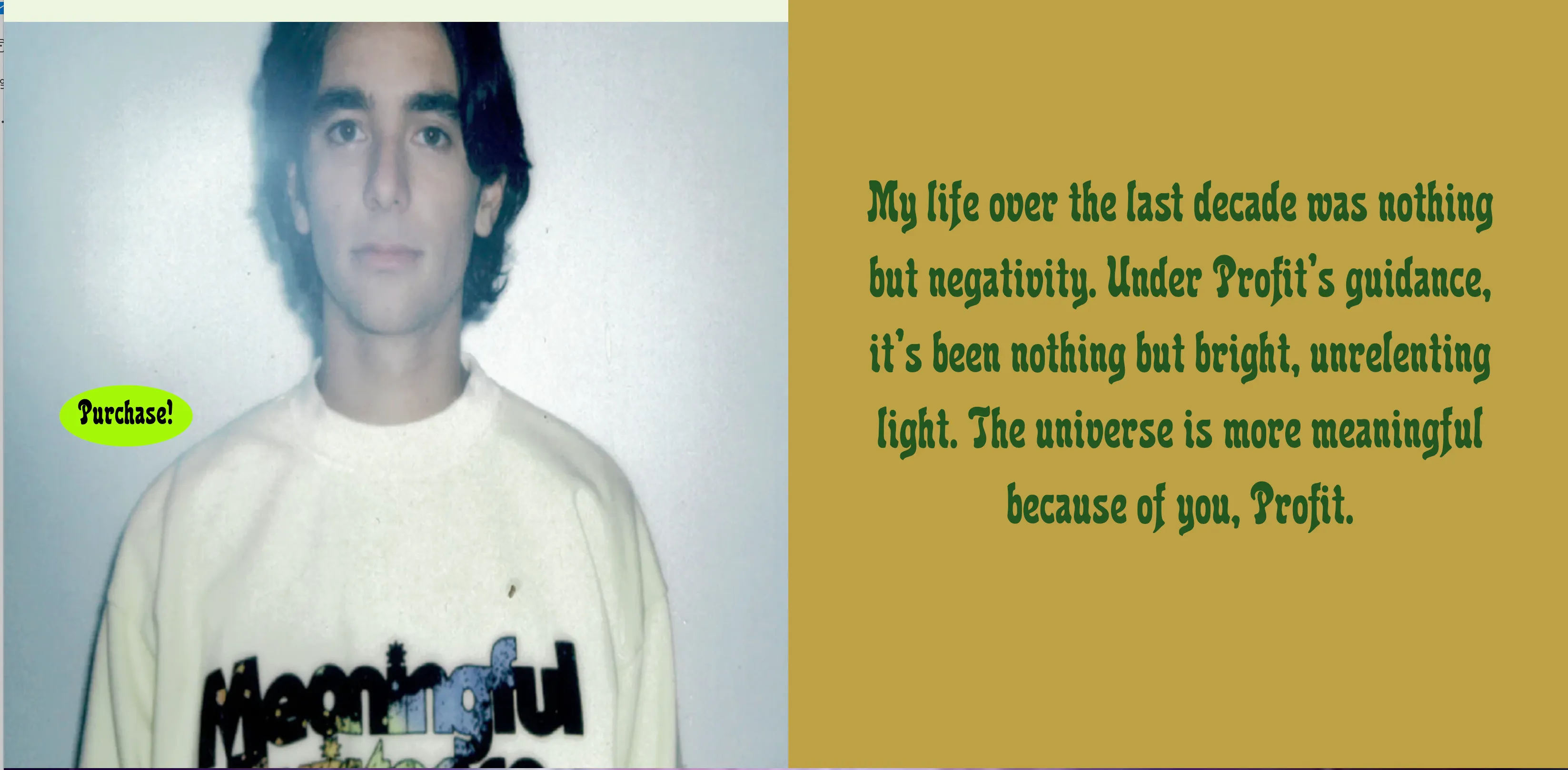 A testimonial from a Meaningful Existence follower: "My life over the last decade was nothing but negativity. Under Profit's guidance, it's been nothing but bright..."