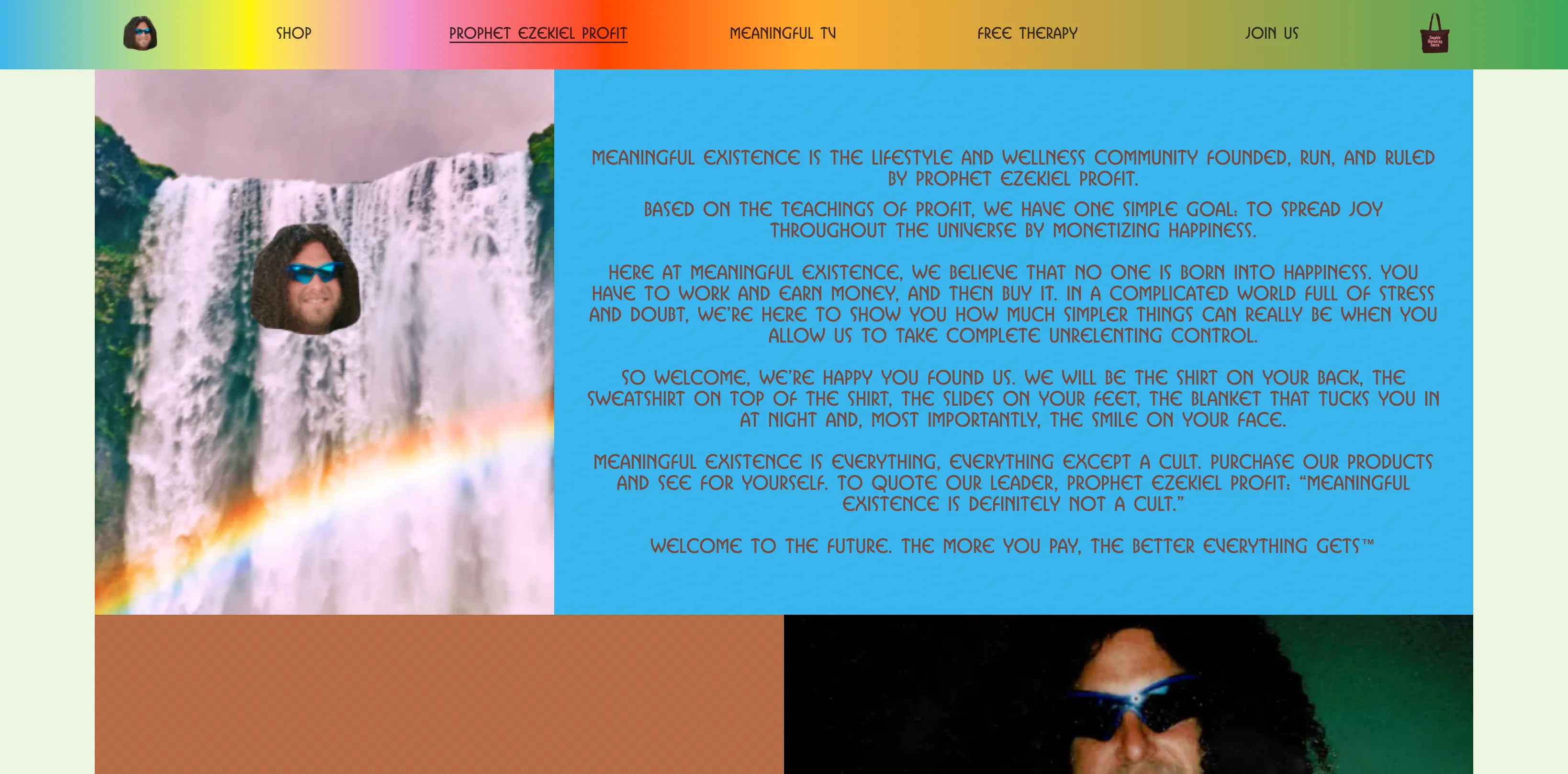 The Meaningful Existence homepage
